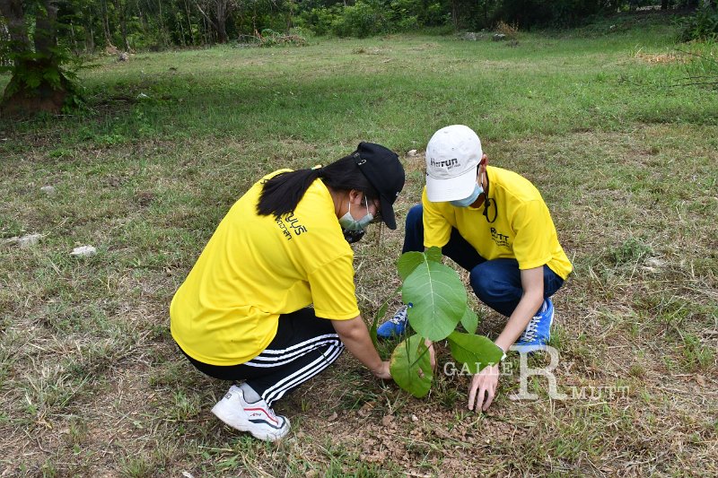 20210526-Tree planting dayt-175.JPG